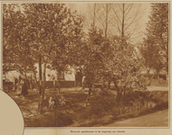 872562 Afbeelding van bloeiende appelbomen voor een boerderij vermoedelijk in de gemeente Oudenrijn.